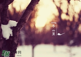 冬至扫墓可以提前几天,冬至提前一天扫墓可以吗 冬至扫墓可以提前几天,冬至提前一天扫墓可以吗