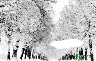 小雪喝什么汤最好,小雪应该喝什么汤 小雪喝什么汤最好,小雪应该喝什么汤