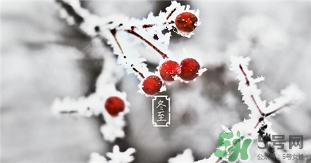 冬至冷过年会冷吗,今年冬至会不会冷