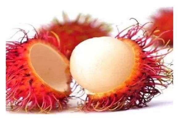 红毛丹多少钱一斤呢(红毛丹一般多少钱一斤) 红毛丹多少钱一斤呢(红毛丹一般多少钱一斤)