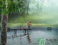 冬季一般钓什么鱼,冬天钓鱼钓什么鱼 冬季一般钓什么鱼,冬天钓鱼钓什么鱼