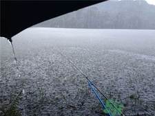 下雨天钓鲢鳙好不好钓,十一月份还能钓鲢鱼吗