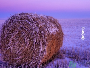 冬天钓鱼基本技巧,立冬钓鱼最佳时间