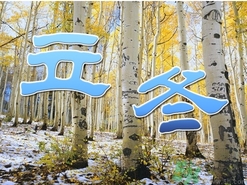 什么节气种树成活率高,植树一般在什么节气 什么节气种树成活率高,植树一般在什么节气