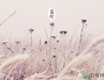 霜降的气温是多少度,气温多少度下霜