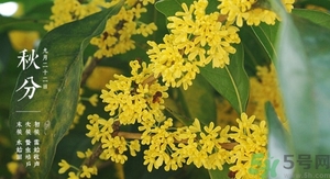 秋分能结婚吗,春分可以结婚吗