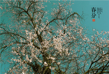 秋分的时候还热吗,春分和秋分温度一样吗