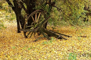 秋燥是什么意思,秋燥是什么病