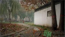 一场秋雨一场寒从什么时候开始,一场秋雨一场寒是在什么时候