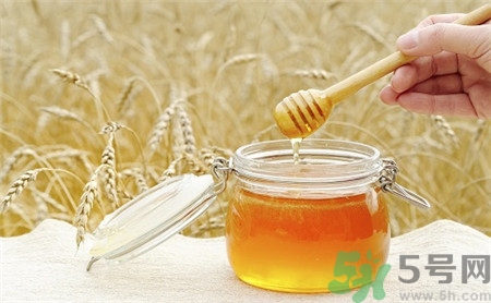 秋天喝蜂蜜的好处,秋天喝蜂蜜的好处蜂蜜好图片
