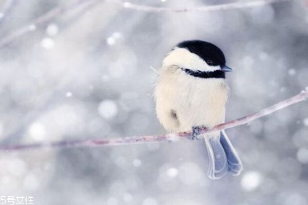 冬季养生重在养什么,冬季养生重点在于