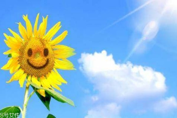 冬季养生重在养什么,冬季养生重点在于