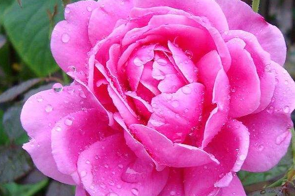 养生方法有哪些,养生功法有哪些