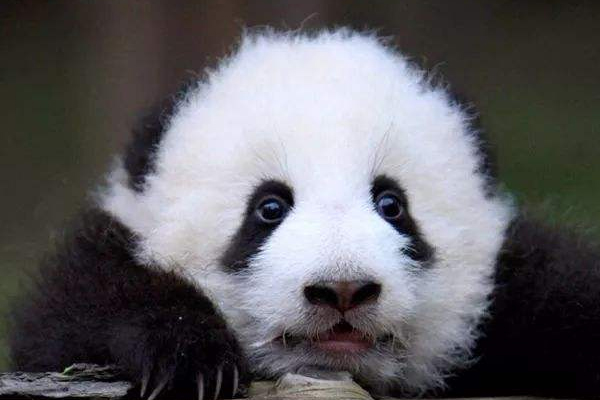 黑眼圈的形成原因和解决办法,眼圈发黑什么原因