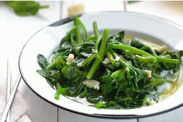 木耳菜有什么禁忌人群呢(木耳菜的禁忌人群)