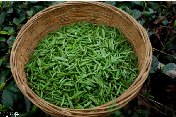 春夏秋茶怎么区分,如何辨别春茶和秋茶 春夏秋茶怎么区分,如何辨别春茶和秋茶