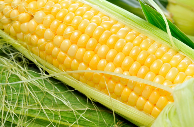 玉米须的作用和功效,玉米须有何功效? 玉米须的作用和功效,玉米须有何功效?