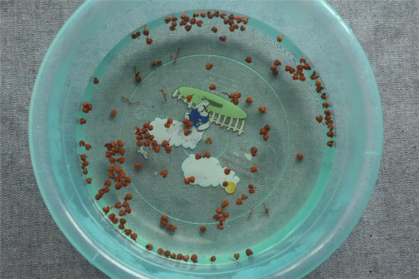 花椒泡脚泡多少分钟,花椒泡脚泡多久