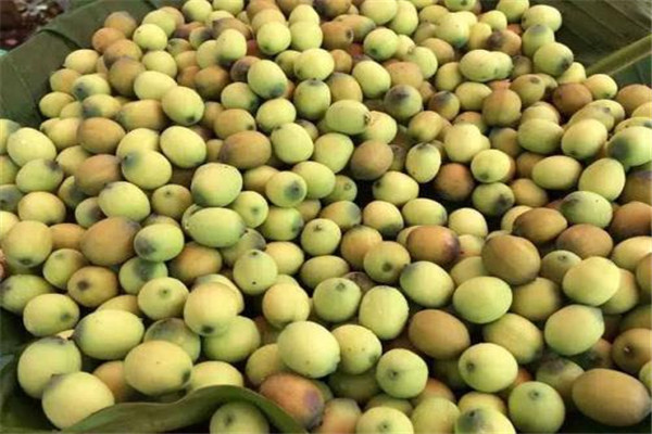 新鲜莲子去芯后如何保存(新鲜莲子去芯后如何保存)