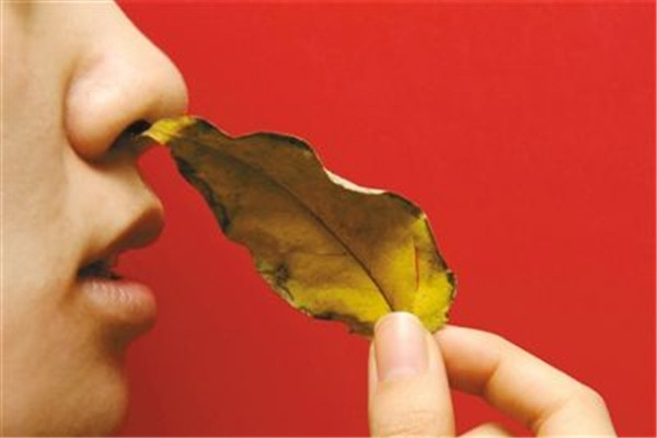 鼻炎的症状都有哪些表现,鼻炎的症状都有哪些 鼻炎的症状都有哪些表现,鼻炎的症状都有哪些