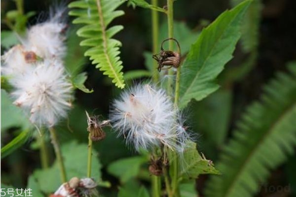 哪些人不宜喝酒,不宜饮用是什么意思
