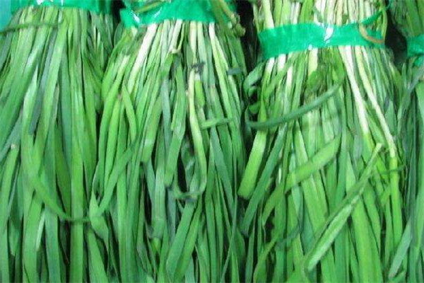 韭菜治脚气的方法,韭菜治脚气最有效的方法如下