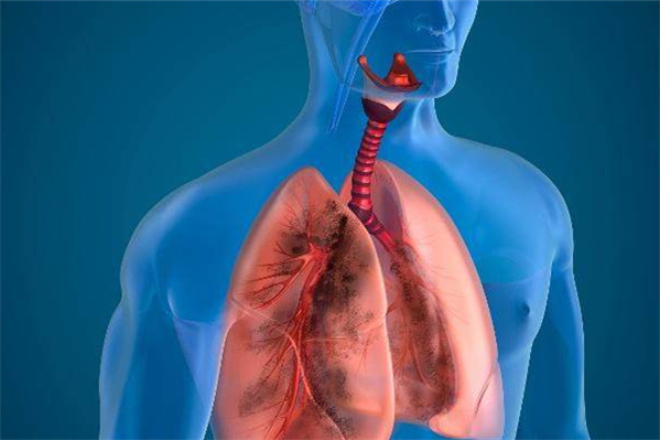 身体健康表现,身体健康表现在哪几个方面 身体健康表现,身体健康表现在哪几个方面