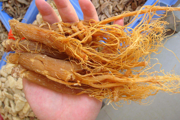 红参的副作用有哪些,红参的副作用和禁忌