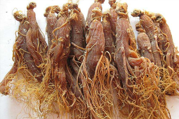 女人吃红参有什么好处怎么吃的,女人吃红参有什么好处和坏处