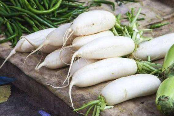 白萝卜怎么挑选好吃呢,白萝卜怎么挑选没有糠心