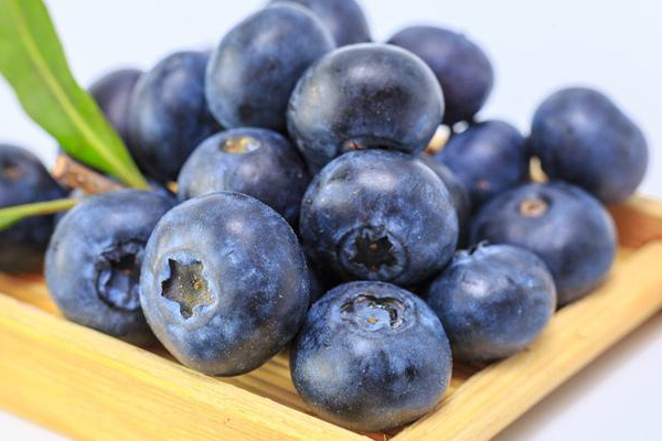 孕妇可以吃蓝莓,孕妇能否吃蓝莓 孕妇可以吃蓝莓,孕妇能否吃蓝莓