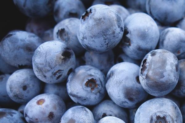 蓝莓的作用和功效,蓝莓的作用是什么 蓝莓的作用和功效,蓝莓的作用是什么