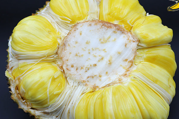 菠萝蜜干苞和湿苞哪个好吃,菠萝蜜干苞好还是湿苞好吃