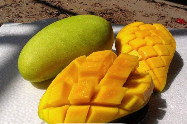 芒果的黑斑是什么原因,芒果长斑是什么原因