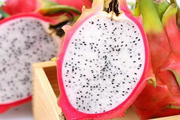 最贵的火龙果,火龙果为什么这么贵