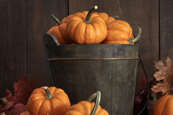 老南瓜怎么做好吃又简单,怎样做南瓜好吃