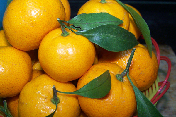 橘子掉色是怎么回事,橘子掉色正常吗