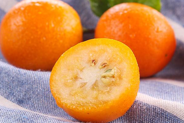 小金桔的功效和作用,小金橘的营养价值