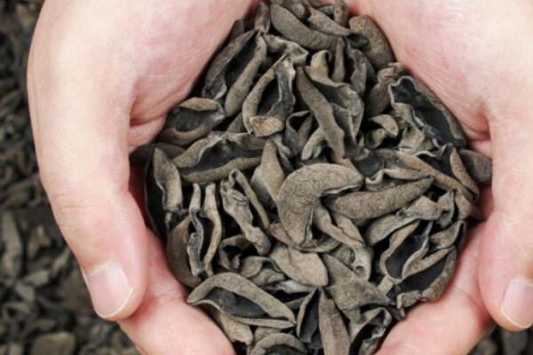 木耳买什么样的最好,木耳选什么样的最好