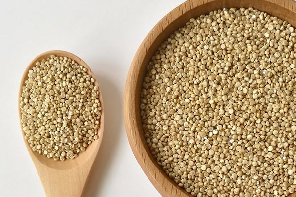 藜麦不适合哪类人群吃,藜麦哪些人不适合吃