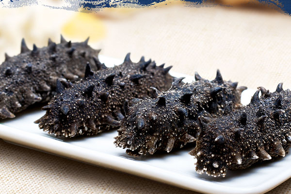 冻干海参是什么意思,冻干海参和干海参有什么区别