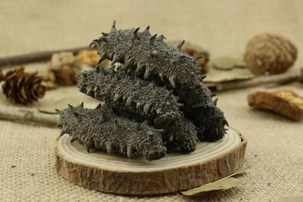 什么是盐干海参,海参淡干盐干是什么意思