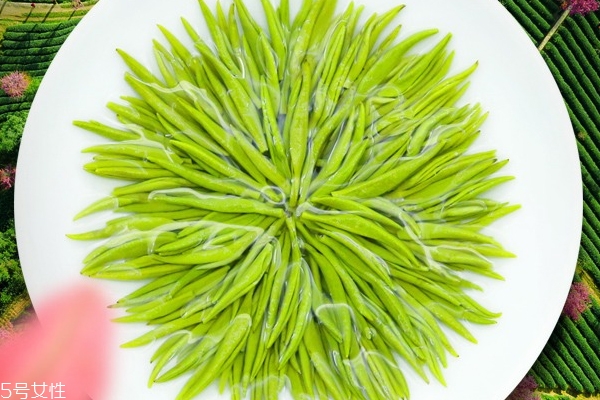 雨前茶和明前茶哪个好,明前和雨前哪个时候茶叶好