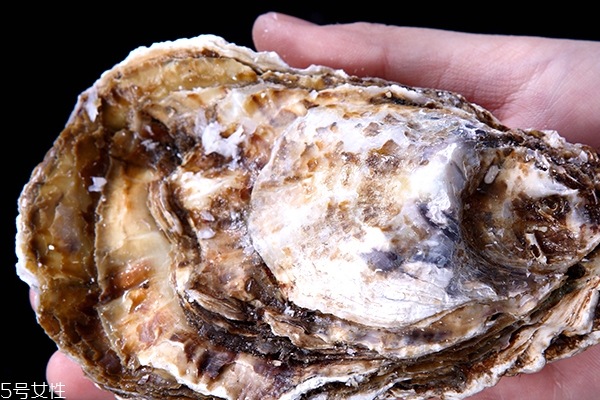 怎么判断生蚝是否新鲜,怎么判断煮熟的生蚝新不新鲜