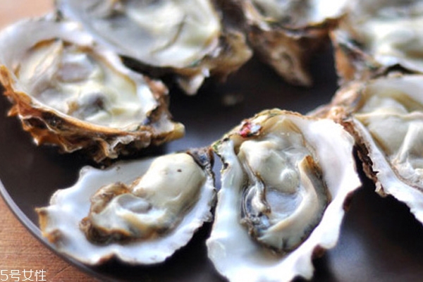 生蚝的好处和功效和作用,生蚝的好处和坏处