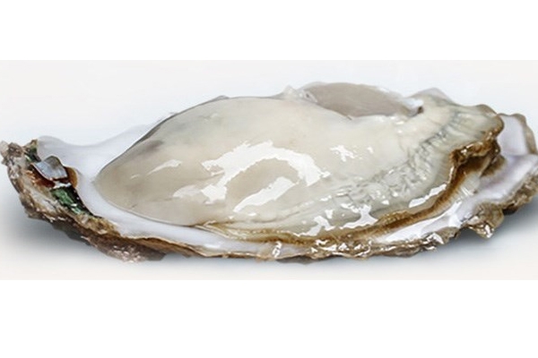 生蚝的营养价值及功效,生蚝的营养价值和禁忌