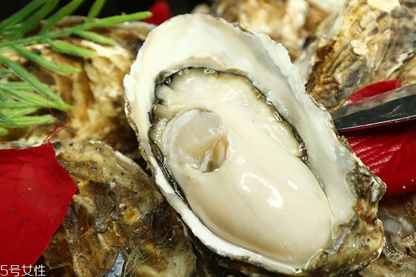 吃生蚝的注意事项,吃生蚝的正确方法 吃生蚝的注意事项,吃生蚝的正确方法