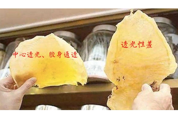 花胶颜色深好还是不好,花胶颜色深好还是浅色好