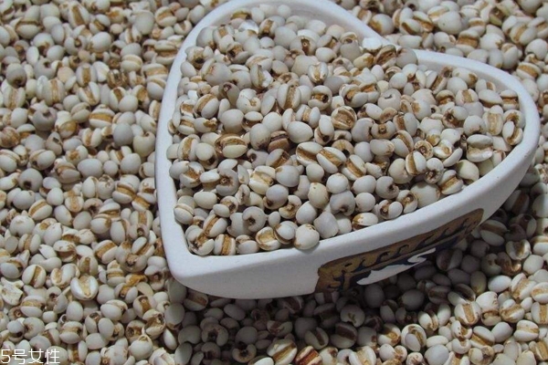 薏米过期是什么气味,薏米过期是什么样子的