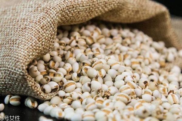 薏米怎么挑选品质,薏米怎么挑选